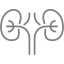 Dialysis & Kidney Procedures